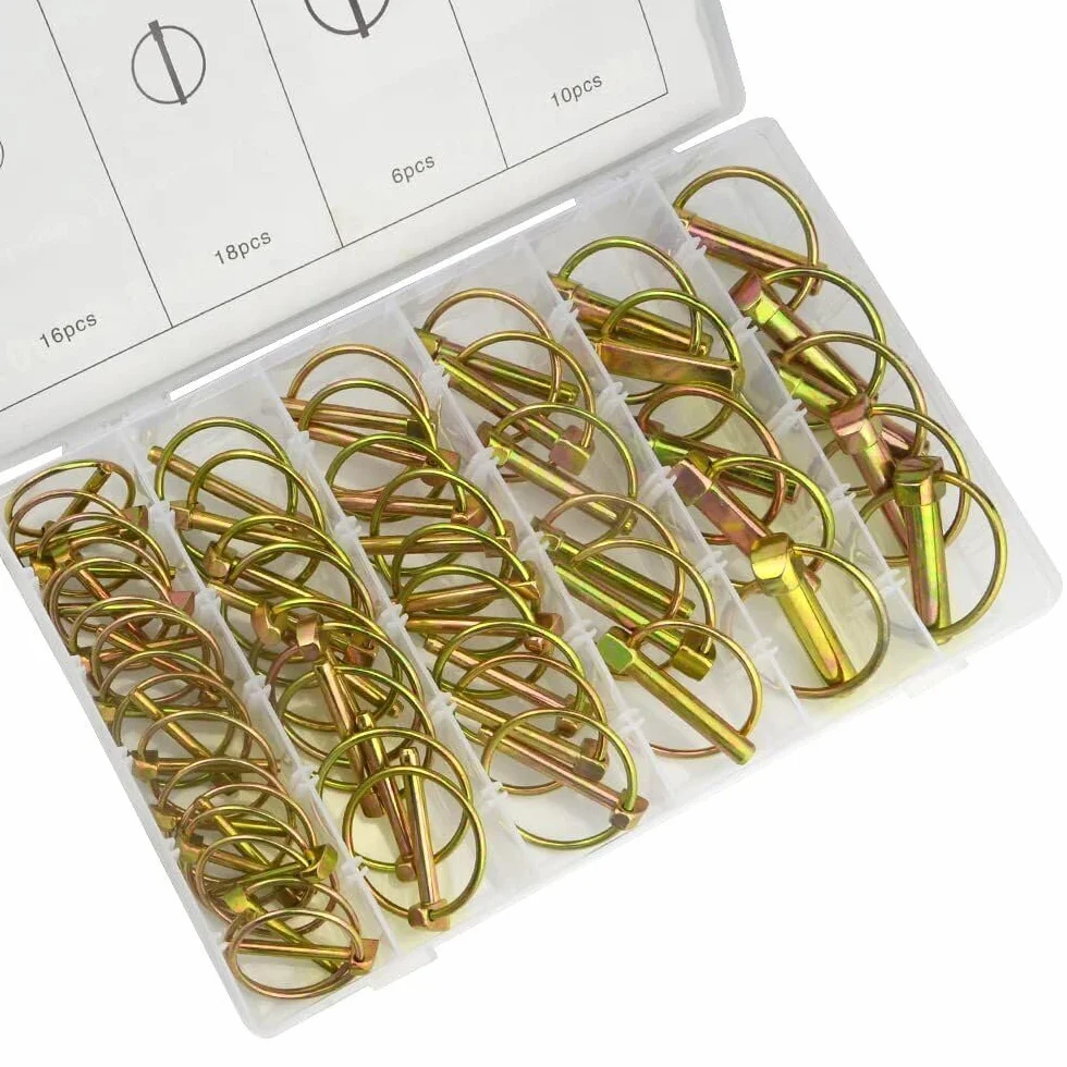 Assortimento di 50 Spine, Spinotti e Fermi per Riparazioni, Coppiglie a Scatto, Perni Coppiglie Anelli a Scatto