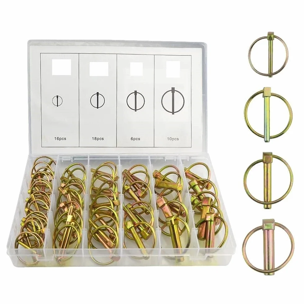 Assortimento di 50 Spine, Spinotti e Fermi per Riparazioni, Coppiglie a Scatto, Perni Coppiglie Anelli a Scatto