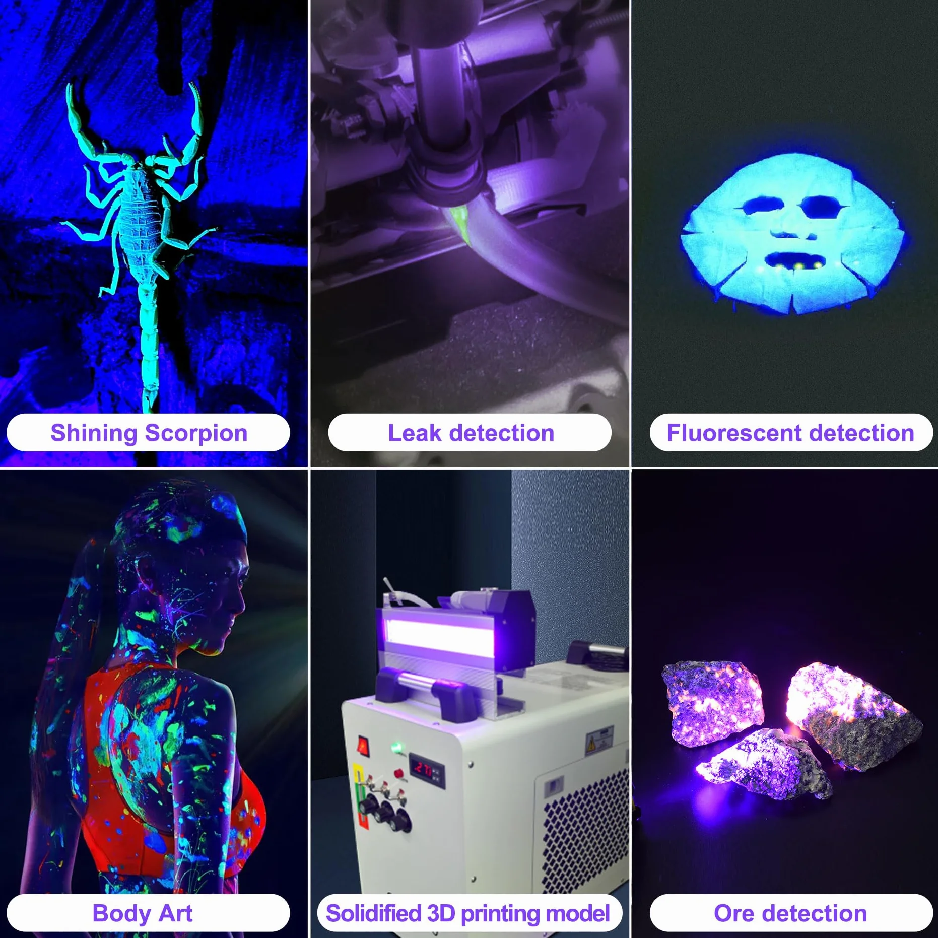DARKBEAM Torcia UV a luce nera a LED 395 NM, torce ultraviolette, lampada di Wood USB-C ricaricabile, resistente all'acqua, focalizzabile, per rilevamento perdite e polimerizzazione in resina UV